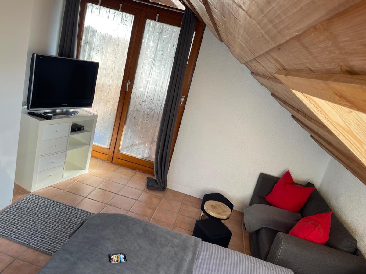 Birkensteiner Sonnenblick Apartment Fischbachau