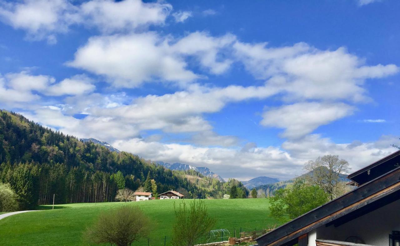 Birkensteiner Sonnenblick *